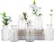 Bud Vases in Bulk Set of 12, Glass Small Vases for Flowers, Modern Cylinder Flower Vases for Wedding Centerpiece, Living Room Decorative, Home Decor